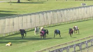 Capalaba22092024Race1 [upl. by Eelhsa]