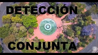 Glorieta SCOP  DETECCIÓN CONJUNTA [upl. by Aihsa]