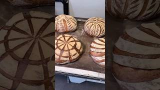 Roti sourdough miche [upl. by Redleh31]