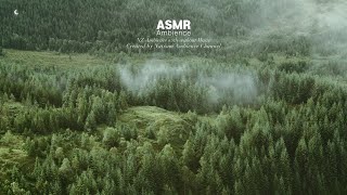 숲과 바람과 비 ASMR [upl. by Matejka60]