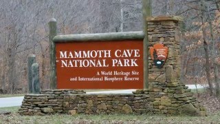 Mammoth Cave KY Domes and Dripstones Tour [upl. by Lledualc]