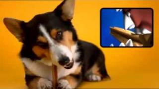 Pedigree DentaStix Werbung  quotDie Drittenquot [upl. by Eshman]