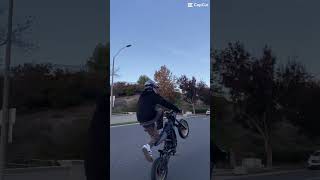 Check this wheelie out [upl. by Delgado]