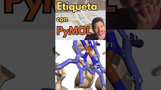 Secretos de PyMol NOMBRA estructuras como un PRO ✍️😎 computación química biomoleculas tutorial [upl. by Anotyad]