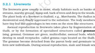 Liverworts  Mosses  Class 11  NCERT Biology [upl. by Mcripley]