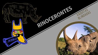 Rinocerontes Victimas de la etimología Ep 70  CULTURA COLMILLUDA [upl. by Adeys]