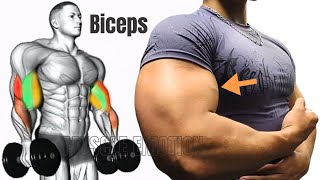 5 BEST BICEPS WORKOUT WITH DUMBBELLS ONLY AT HOME TO GET BIGGER ARMS FAST [upl. by Erotavlas]