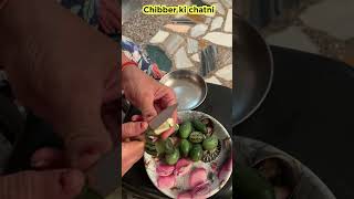 Chibber ki chatni easy recipe indianrecipe 5minute food chatni [upl. by Quigley]