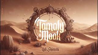 TAMALY MAAK AMR DIAB REMIX AFRO TECHNO  DJ UDI SHIMSHI [upl. by Alecia]