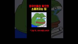 미국인들이 들으면 소름끼쳐하는 밈 [upl. by Carpet]