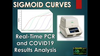 Amplification Plots of RTPCR PRINCIPLES of Real Time PCR Graphical Terminology [upl. by Ellehcam]