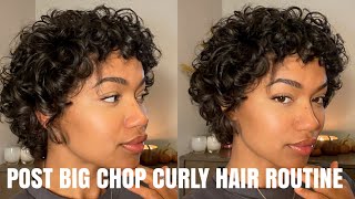 CURLY HAIR ROUTINE  POST BIG CHOP 3A [upl. by Neisa283]