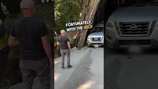 Car Gets Stuck Driving Through Redwood Trunk 😱 😭 [upl. by Saeger]