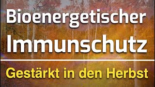 Harmonisierung des Immunsystems amp bioenergetische Erkältungsabwehr für den Herbst 🍁 [upl. by Fante]