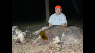 2 Giant Hogs Go Down [upl. by Etolas]