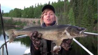 Trophy walleye monster walleye judiths walleye [upl. by Melvina723]