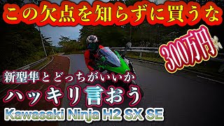 【新型H2SXSE】コレ見たら試乗せず買っていいが…欠点有るぞ【Kawasaki】 [upl. by Pestana465]