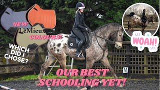 WHICH LE MIEUX SADDLEPAD DID I GET TACK SHOPPING amp OUR BEST SCHOOLING YET [upl. by Enomahs]