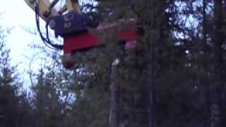 Torrent EX48 Mulcher Eats a Tree in under 60 seconds [upl. by Ahsykal]