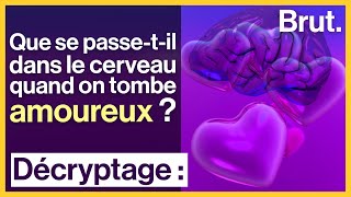 Que se passetil dans le cerveau quand on tombe amoureux [upl. by Rosenblum]