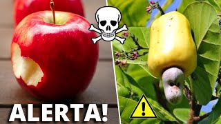 As 10 Frutas Mais PERIGOSAS do Mundo Que Você Não Sabia e Deve Tomar CUIDADO Parte 2 [upl. by Brick784]