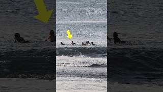 How A Pro Gets A Wave At Crowded Bingin surfersofbali surfing surfers [upl. by Colligan]