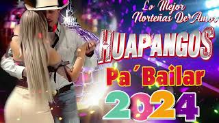 HUAPANGOS Pa BAILAR 2024💃🏽 Huapangos Mix💃🏽 Huapangos Norteños 2024 [upl. by Kaye370]