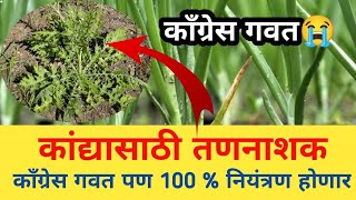 कांदा तन नाशक काँग्रेस गवत पण 100 जळणार  Onion herbicides  Kanda tannashke कांदा kanda [upl. by Osi]