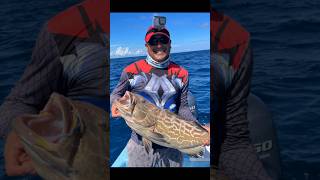 Pesca de abadejo fypシ゚viral fishing playa travel [upl. by Kassi354]