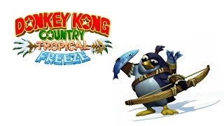 DONKEY KONG COUNTRY TROPICAL FREEZE 9  Ruim Demais [upl. by Oicirtap]