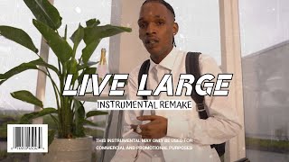 Skeng  Live Large Instrumental [upl. by Adnema316]