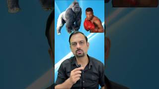 When Mike Tyson challenged a Gorilla shorts [upl. by Trici]