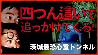 【月居トンネル】噂の心霊トンネルを通ったら、霊が四つん這いで追いかけてきた！【茨城心霊】 [upl. by Chaworth]