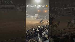 Brawley Cattle Call 2024 🤠 Good times [upl. by Itraa335]