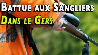 Battue aux sangliers dans le Gers [upl. by Esom739]