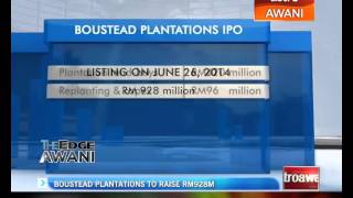 Boustead Plantations to raise RM928 million [upl. by Ludeman490]