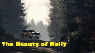 The Beauty of Rally  Dirt Rally 20 [upl. by Etessil942]