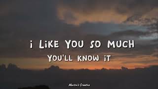 I Like You So Much You’ll Know It  Ysabelle Cuevas Lyrics [upl. by Nac262]