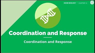 Coordination and Response  IGCSE Biology  Topic Explainer  ZNotes [upl. by Adiuqram671]