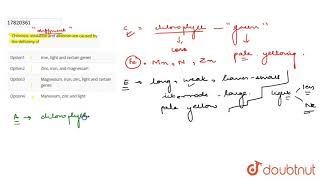 Chlorosis etiolation and albinism are caused by the deficieny of [upl. by Downall]