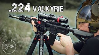 Meme or Mighty Palmetto State Armory 224 Valkyrie Review [upl. by Nylkcaj]