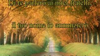 Grazie Signore  RnS [upl. by Klina827]