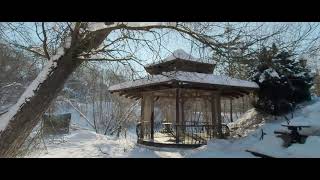 Sony Xperia 5 II 4K cinematic shot  winter [upl. by Sorgalim]