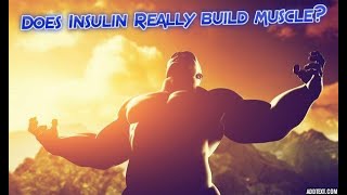 Does Insulin really build muscle [upl. by Jakoba]