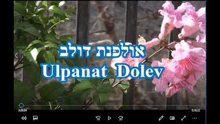 Ulpanat Dolev [upl. by Bovill]