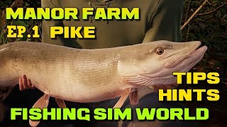 Fishing Sim World Manor Farm Lake Linear Fisheries Pike [upl. by Atirabrab719]