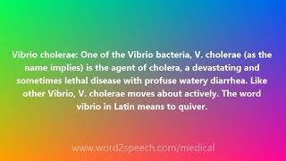 Vibrio cholerae  Medical Meaning and Pronunciation [upl. by Eilak]