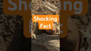 Shocking Fact  Water Can Kll You  FunFacts  Góc Nhìn U40 funfacts shocking shorts [upl. by Lovash]