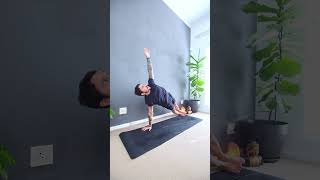 Beginners Vinyasa Yoga  Practise here 👆 [upl. by Atalayah968]