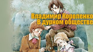 Владимир Короленко quotВ дурном обществеquot Дети подземелья [upl. by Dunston]